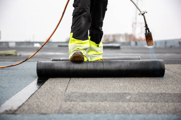 Best Roof Insulation Installation  in Dry Run, OH